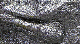 Lukas Structure Paste Granite Texture Chip
